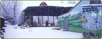 Snowscene