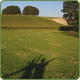 Shadows