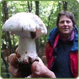 Fungus foray