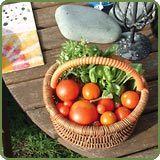 Tomatoes